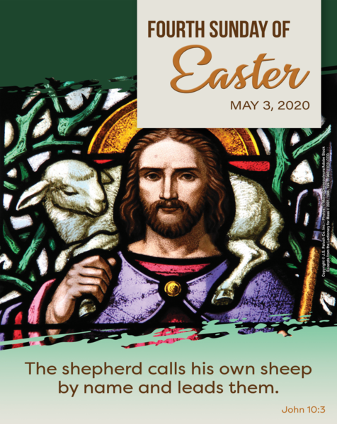 4th Sunday of Easter - Immaculate Conception Catholic Parish - Yuma ...