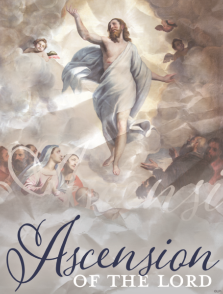 Ascension of the Lord June 2 2019 Bulletin - Immaculate Conception ...